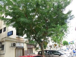 Toa Payoh Central (D12), Shop House #529677681